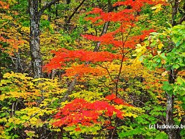 KOREA2017_DSC_3407