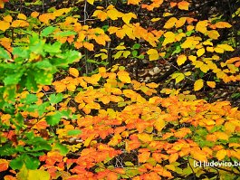 KOREA2017_DSC_3408