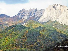 KOREA2017_DSC_3436