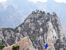 KOREA2017_DSC_3499